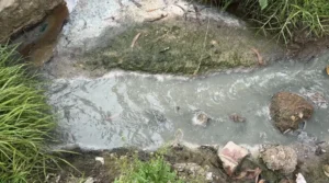 Curtiembres bajo lupa: acuerdo busca frenar contaminación del río Bogotá