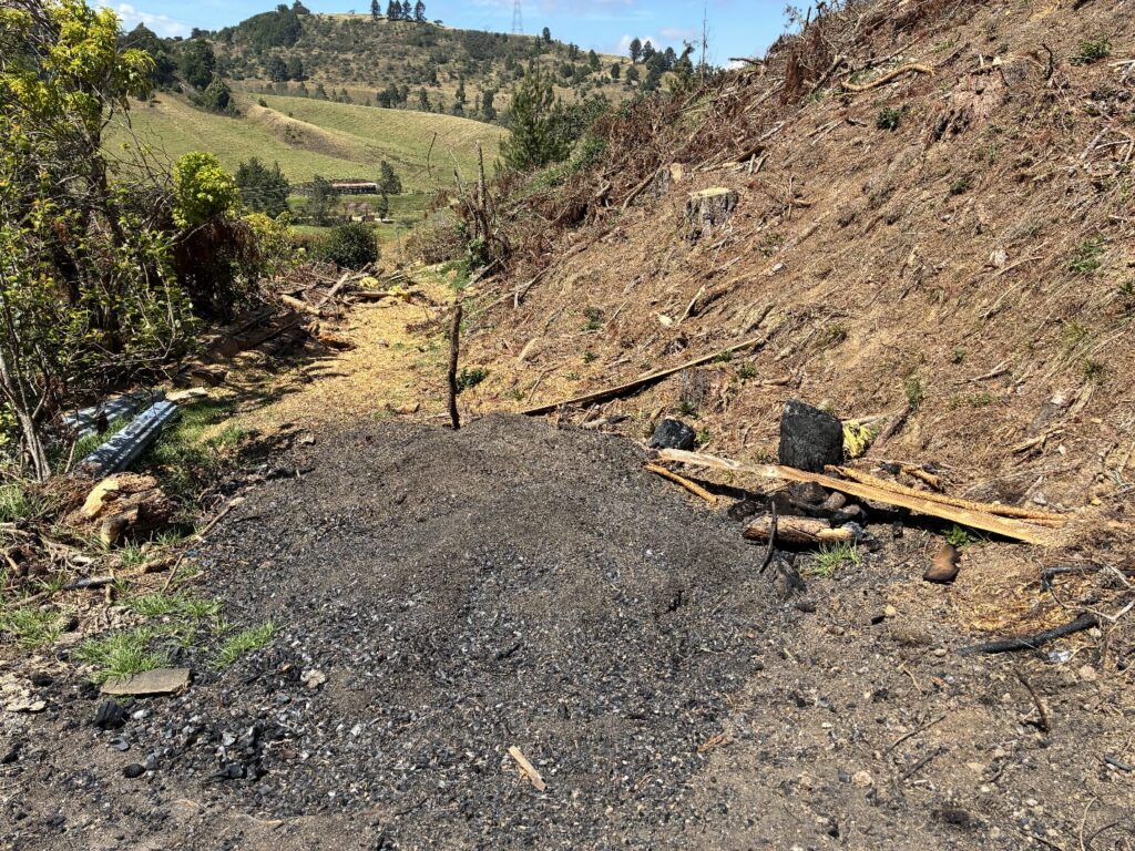 Medida inmediata para tala ilegal en Saucío, Chocontá