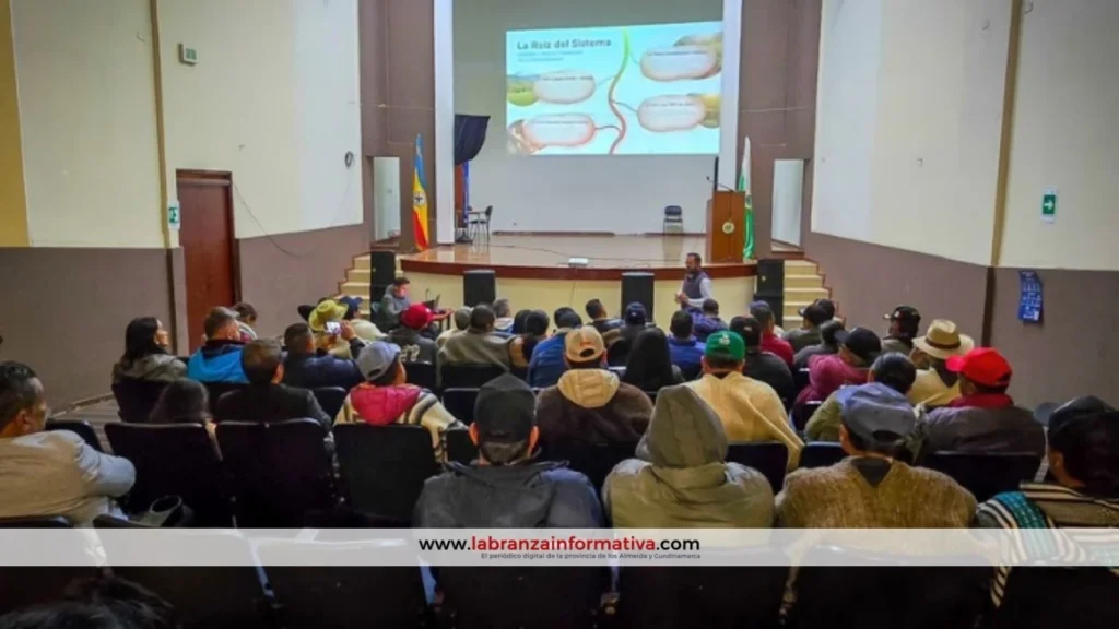 Productores de papa se reunieron en Chocontá para definir quién administrará el Fondo Nacional del sector