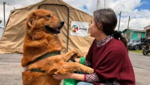 Más de 80 municipios de Cundinamarca participan en el fortalecimiento de las Juntas Defensoras de Animales