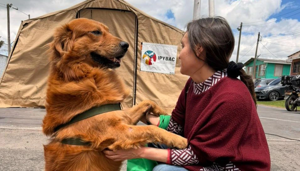 Más de 80 municipios de Cundinamarca participan en el fortalecimiento de las Juntas Defensoras de Animales