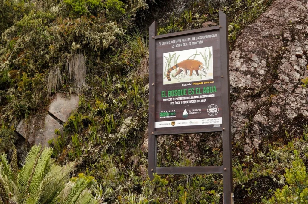 Más de 190 nuevos guardianes vigilan los páramos que garantizan el agua de Colombia