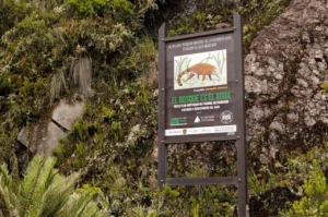 Más de 190 nuevos guardianes vigilan los páramos que garantizan el agua de Colombia