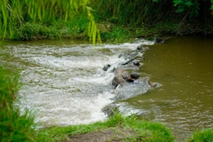 Ante posible sequía, CAR aumenta inspecciones a grandes usuarios del agua
