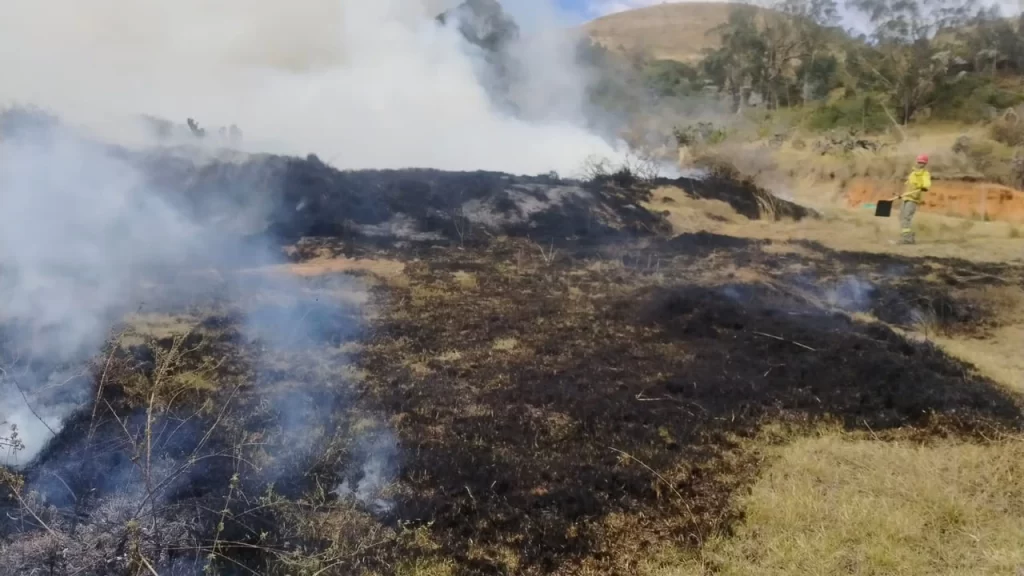 Agosto concentra el 81,7 % de las hectáreas afectadas por incendios en Cundinamarca durante 2026