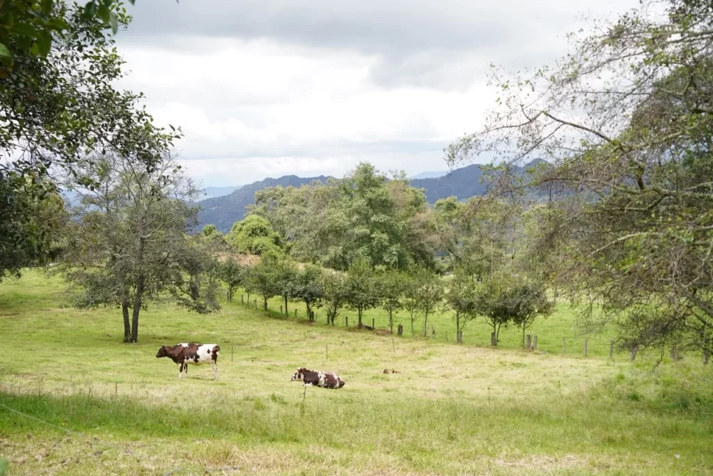 Ante la llegada de El Niño, CAR activa estrategia en zonas rurales para reducir el riesgo de incendios forestales