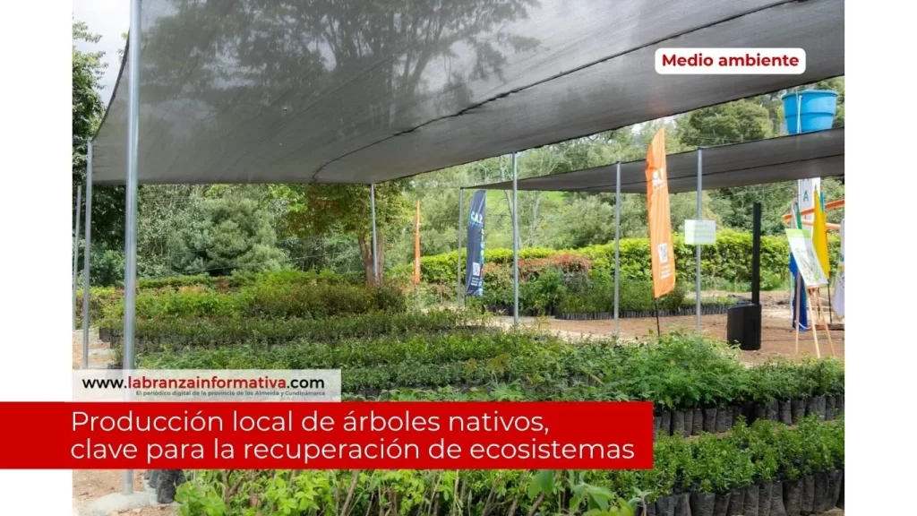Machetá, Chocontá y 24 municipios más serán beneficiados con viveros para hacer frente al cambio climático