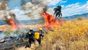 Agosto disparó los incendios forestales en Cundinamarca: 262 emergencias y más de ocho eventos diarios